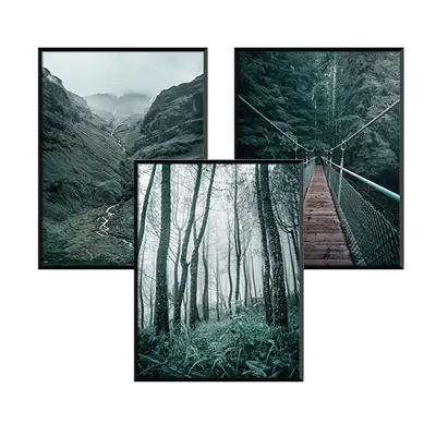 Cold Forest