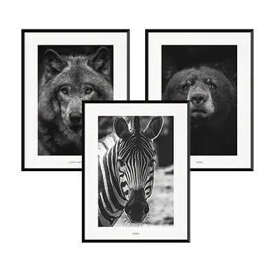 Fauna