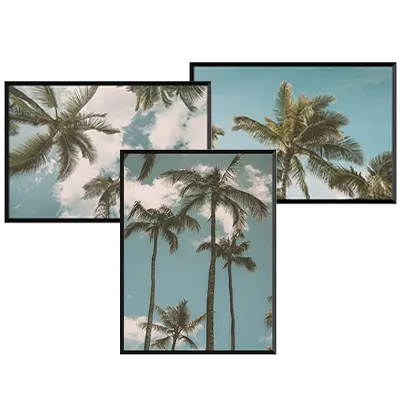 Summer Palms