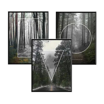 Vision