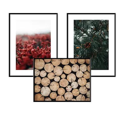 Winter Forest