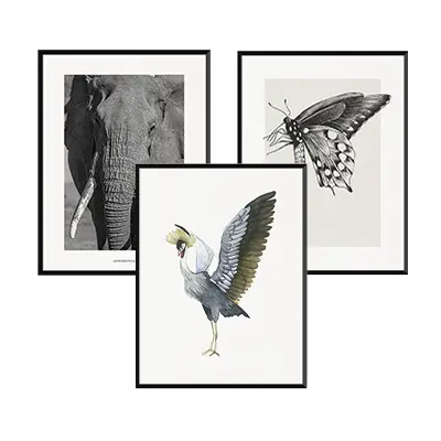 Animales