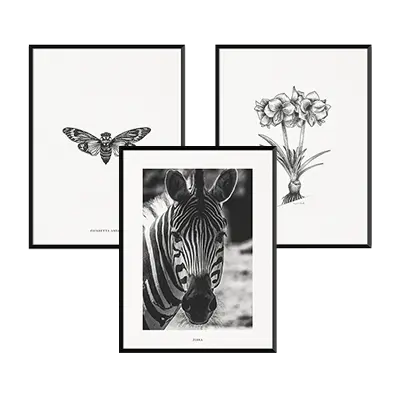 Blanco y Negro